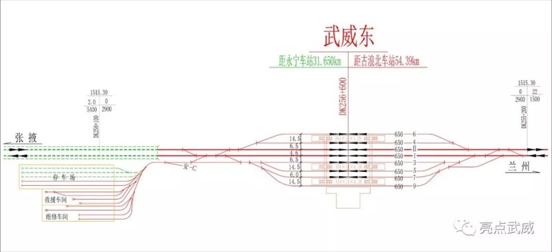 武威网站建设:选择本地服务商还是全国性平台?